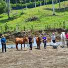 Paarden Project Costa Rica met een groep