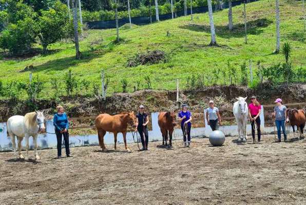 Paarden Project Costa Rica met een groep