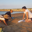 Vrijwilligerswerk in Turkije Zeeschildpadden project op het strand aan het werk