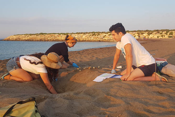 Vrijwilligerswerk in Turkije Zeeschildpadden project op het strand aan het werk