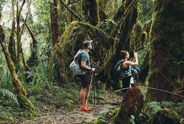 Kilimanjaro Trip Tanzania Tussenjaar en vrijwilligerswerk natuur