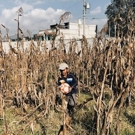 Kinderproject Guatemala vrijwilligerswerk voetbal in de tuin 