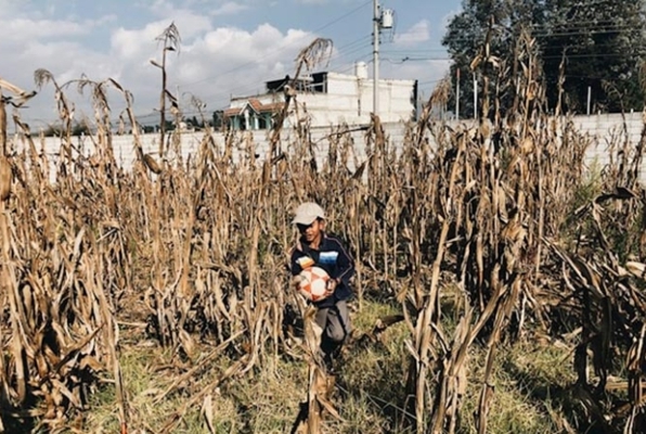 Kinderproject Guatemala vrijwilligerswerk voetbal in de tuin 