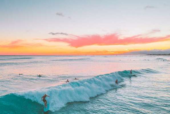 Panama schildpadden project surfen 