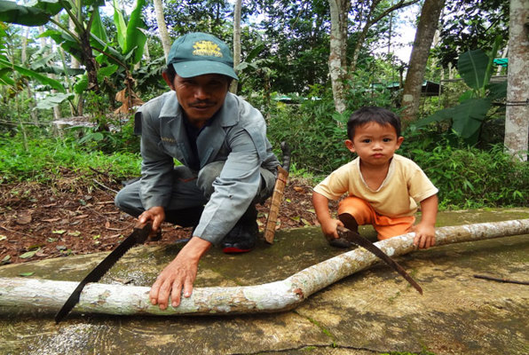 Java wildlife project vader en zoon aan het werk