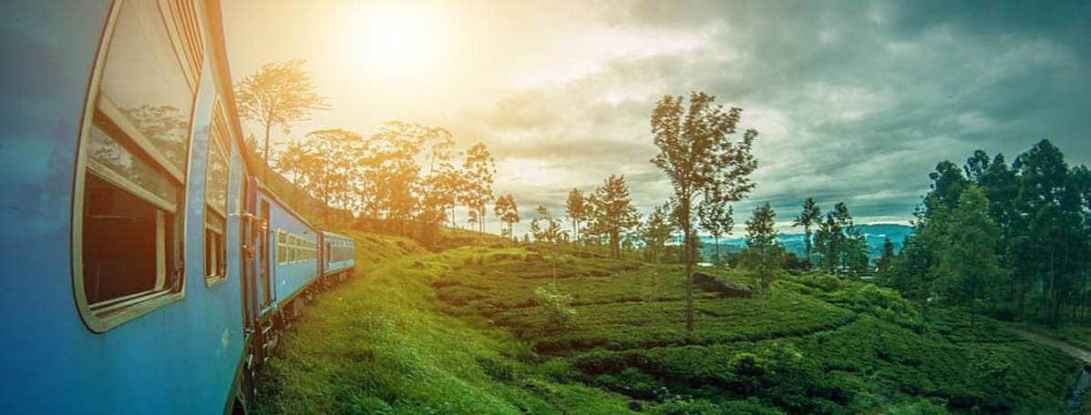 jongerenreis Sri Lanka trein