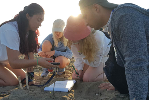 Vrijwilligerswerk in Turkije Zeeschildpadden project aan het werk