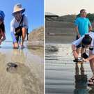 Panama schildpadden project aan het werk op het strand 