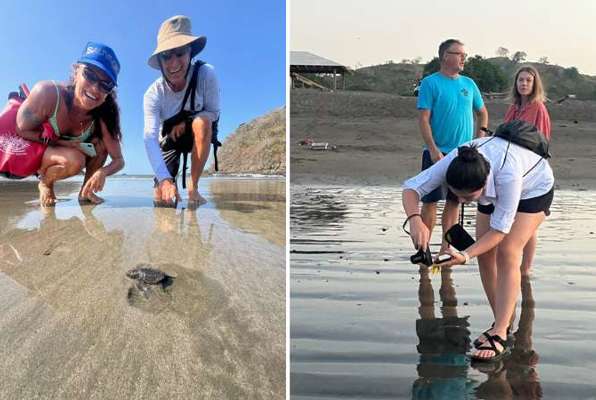 Panama schildpadden project aan het werk op het strand 