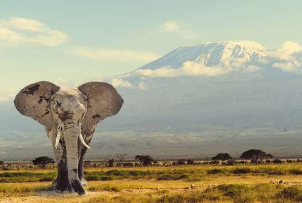 Kilimanjaro Trip Tanzania Tussenjaar en vrijwilligerswerk teaser foto