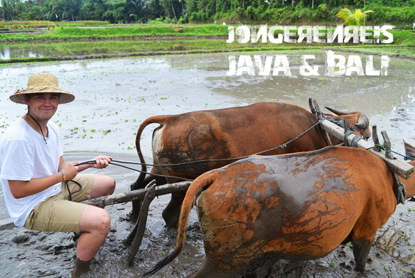 Java en Bali jongerenreis cultuur