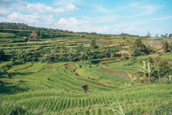 Highlight of Sumatra natuur