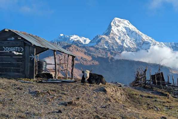 Nepal Experience 17 dagen uitzicht in de bergen