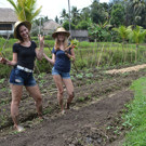 Java en Bali jongerenreis helpen in de tuin 