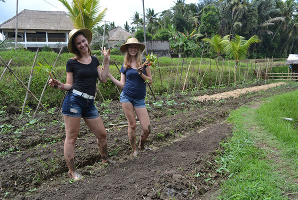 Java en Bali jongerenreis helpen in de tuin 