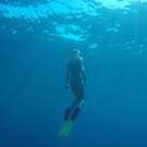 Zee en kust Behoud natuur project snorkelen 