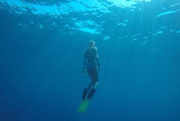 Zee en kust Behoud natuur project snorkelen 