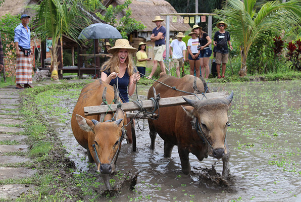 Java en Bali jongerenreis op een os