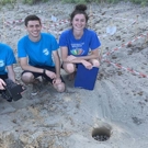 Zee schildpadden conservation project Griekenland bij een nest