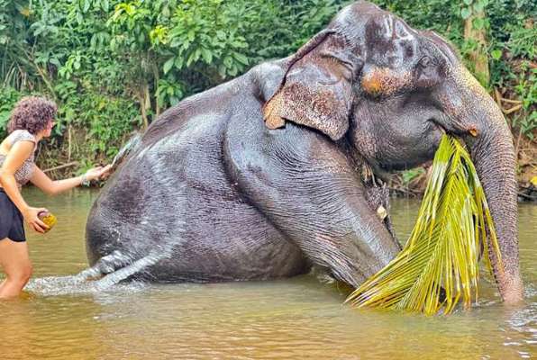 Olifanten Project Sri Lanka olifant aan het wassen