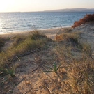 Zee en kust Behoud natuur project strand