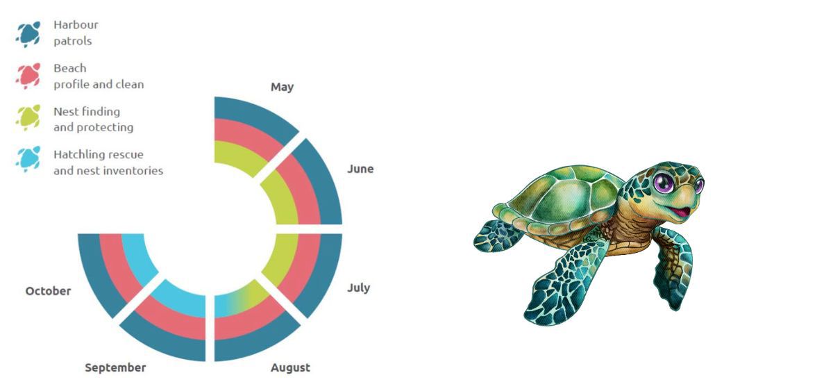 Zee schildpadden werkzaamheden