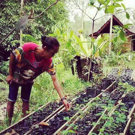 Sumatra vrijwilligerswerk orang oetan project bomen planten 