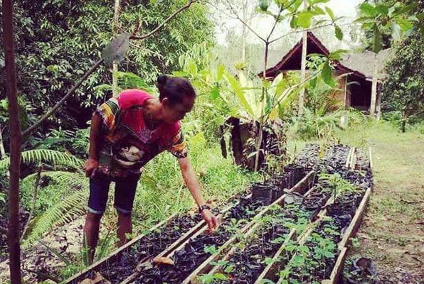 Sumatra vrijwilligerswerk orang oetan project bomen planten 