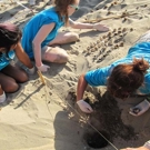 Zee schildpadden conservation project Griekenland nog een nest