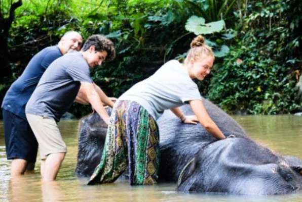 Olifanten Project Sri Lanka olifant aan het wassen met de hand