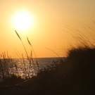 Zee en kust Behoud natuur project strand zonsondergang 