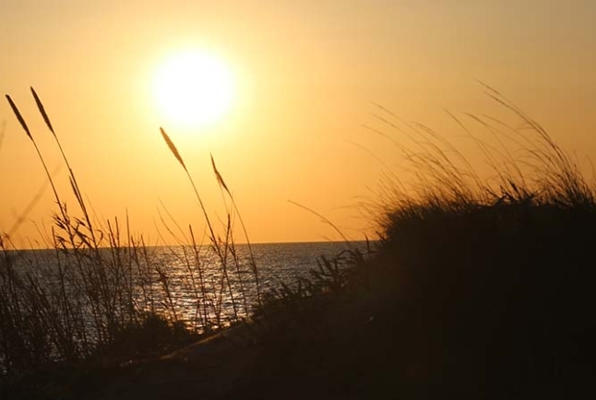 Zee en kust Behoud natuur project strand zonsondergang 