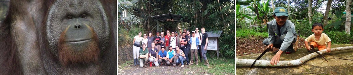 Vrijwilligerswerk Java wildlife project