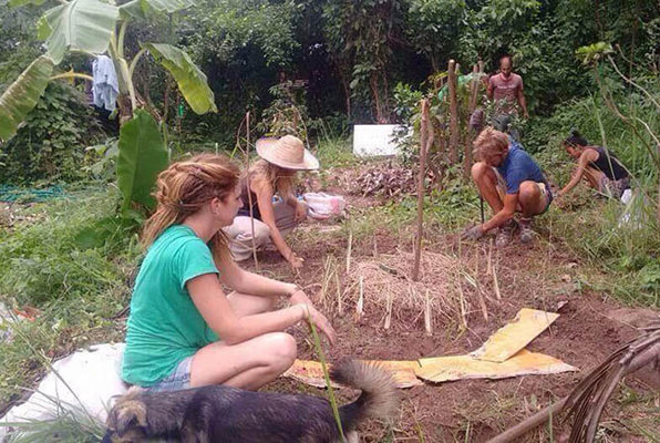 Eco-leer centrum voor Permakultuur en onderwijs in Thailand vrijwilligerswerk boom planten 