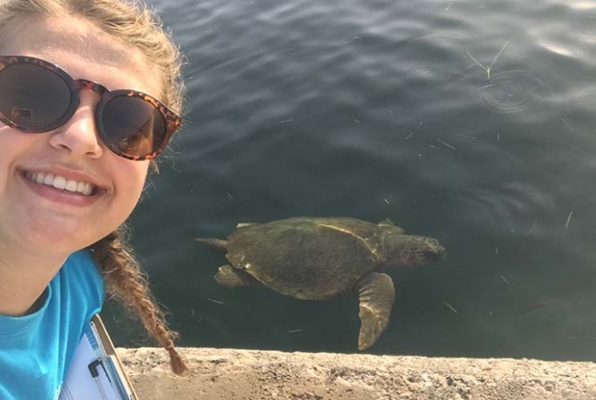 Zee schildpadden conservation project Griekenland schildpad in het water