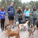 Honden project Peru vrijwilligerswerk eten geven 