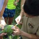 Jungle project Guatemala ook medicijnen geven