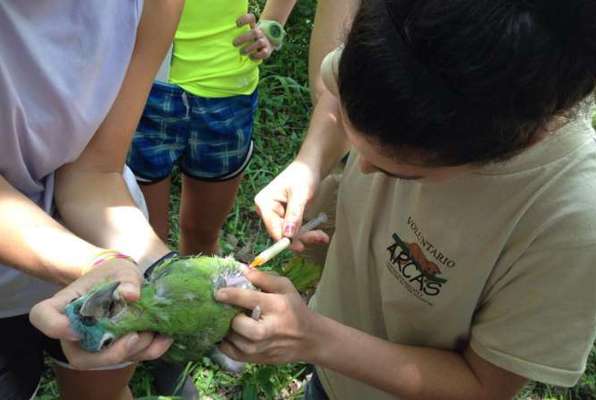 Jungle project Guatemala ook medicijnen geven