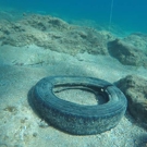 Zee en kust Behoud natuur project band in de zee