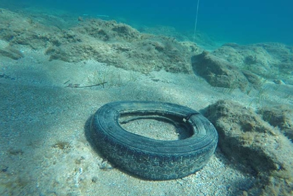 Zee en kust Behoud natuur project band in de zee