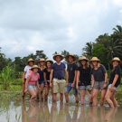 Java en Bali jongerenreis helpen met rijst 