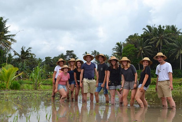 Java en Bali jongerenreis helpen met rijst 