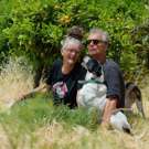 Honden en katten project Griekenland in de natuur