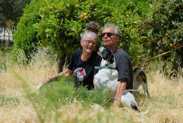 Honden en katten project Griekenland in de natuur