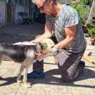 Honden en katten project Griekenland hond aan het wassen