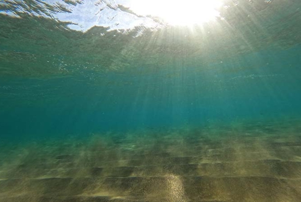 Zee en kust Behoud natuur project water