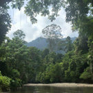 Sumatra vrijwilligerswerk orang oetan project hele mooie natuur