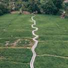 Highlight of Sumatra drone shot