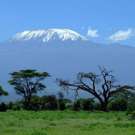 Kilimanjaro Trip Tanzania Tussenjaar en vrijwilligerswerk de berg