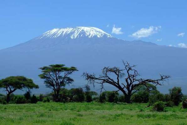 Kilimanjaro Trip Tanzania Tussenjaar en vrijwilligerswerk de berg